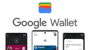 Google Wallet भारत में हुआ लॉन्च ! बेहद खास हैं इसके फीचर्स, जानिए कैसे कर पाएंगे आप इसे इस्तेमाल