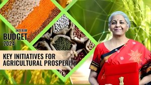 Budget 2024: वित्त मंत्री निर्मला सीतारमण से एग्रीकल्चर सेक्टर की क्या हैं डिमांड? टैक्स छूट समेत ये हैं मांग