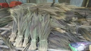 Success Story: झाडू ने बदल दी कहानी, 25,000 से शुरू किया बिजनेस, आज 12 लाख है कमाई