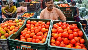 टमाटर ने बिगाड़ा किचन का बजट, भाव 3 से 4 गुना बढ़ा, आम लोगों को आखिर कब मिलेगी राहत?