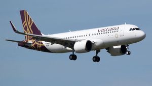 Vistara Airline: विस्तारा एयरलाइन का बड़ा ऐलान, इन कर्मचारियों को जल्द मिलेगा VRS स्कीम का फायदा