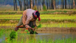किसानों के लिए सौगात, अब रेडियो पर हर महीने होगी 'किसान की बात', इन बातों पर दिया जाएगा जोर 
