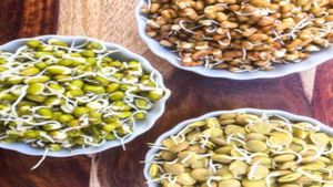 Business Idea: 3 घंटे काम करके कमाएं हजारों रुपये, सिर्फ 5000 की लागत के साथ शुरू करें ये शानदार बिजनेस