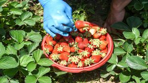 Business Idea: इस कारोबार को शुरू करके बन सकते हैं लखपति, ऐसे स्टार्ट करें बिजनेस 