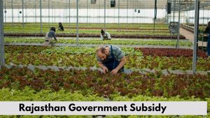 ये राज्य सरकार किसानों को दे रही है 50% सब्सिडी खेतों में नर्सरी बनाकर कमाएं पैसा, जाने कसे करें रजिस्ट्रेशन 