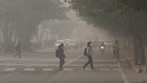 Delhi's Air Pollution On October 22: दिल्ली मे लागू हुआ GRAP-II, जानें ये GRAP-III से कितना होता है अलग