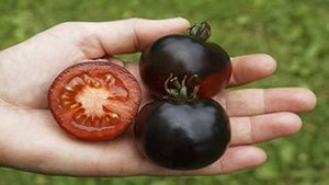 Business Ideas: किसानों की हर महीने होगी अंधाधुंध कमाई, ऐसे शुरू करें बिजनेस, देखें सभी डिटेल