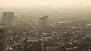 Delhi Air Pollution: दिल्ली सरकार ने केंद्र से कृत्रिम बारिश के लिए मांगी मंजूरी, जानें कैसे होगा फायदा