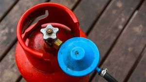 Gas Cylinder Using Tips: जरा सी चूक से हो सकती है दुर्घटना, गैस सिलेंडर यूज करते समय इन चीजों का रखें ख्याल   