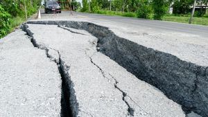 Earthquake Delhi NCR: नेपाल में आया भूकंप, बिहार से लेकर दिल्ली तक कांपी धरती, लोगों को महसूस हुए तेज झटके