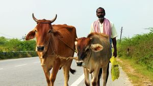 UP Amrit Dhara Yojana: यूपी सरकार ने पशुपालकों को दिया तोहफा! शुरू होगी ये खास योजना, 10 लाख रु तक मिलेगा लोन