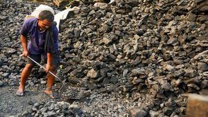 भारत में जल्द शुरू होगा कोल ट्रेड एक्सचेंज, अब कोयले की खरीद-बिक्री होगी डिजिटल, ये है डिटेल 