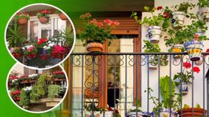 Noida Authority Order: नोएडा अथॉरिटी ने दिया बड़ा निर्देश, बालकनी की दीवारों पर नहीं रख सकेंगे गमले