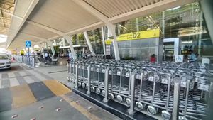 Air Travel Insurance Tips: हवाई सफर के लिए जरूर करा लें इंश्योरेंस, ₹10 के खर्च पर मिलेगा करोड़ का कवर