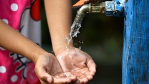 Bangalore Water Supply: बेंगलुरु के इन इलाकों में गुरुवार को नहीं आएगा पानी, BWSSB ने किया ऐलान