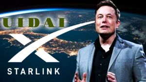 एलन मस्क ने भारत सरकार से मिलाया हाथ! स्टारलिंग का UIDAI के साथ बड़ी साझेदारी - फुल डिटेल