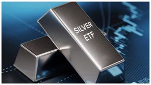 Mutual Funds कंपनियों ने नए SIP के लिए इंवेस्टमेंट पर लगाई रोक! आखिर क्या है वजह? जानें अब क्या करें निवेशक