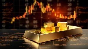 Gold Vs stocks: सोना या शेयर; कहां करें निवेश? जानें पिछली दिवाली से अब तक किसने कराई ज्यादा कमाई