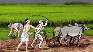 Kisan Samman Nidhi: धनतेरस पर सरकार का बड़ा तोहफा! इस राज्य के किसानों के बैंक खाते में पहुंचे पैसे