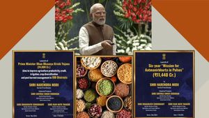 किसानों के आएंगे अच्छे दिन! 'क्या है पीएम धन धान्य कृषि योजना...' जिसका PM Modi ने की शुरुआत | EXPLAINER