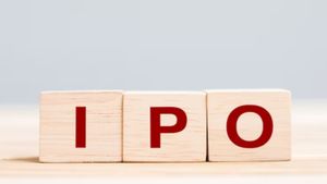 Excelsoft Technologies का IPO खुला, ग्रे मार्केट प्रीमियम बढ़ा, क्या निवेशकों के लिए है सही मौका?