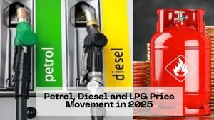 Year Ender 2025: इस साल कैसे रहे पेट्रोल-डीजल के रेट? LPG ने दिया झटका! जानें पूरे साल का फ्यूल रिपोर्ट कार्ड