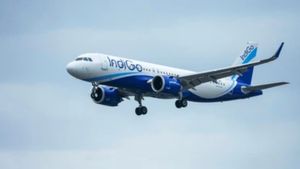 IndiGo Flight Cancellation: 200 उड़ानें कैंसिल - दिल्ली समेत कई एयरपोर्ट पर अफरातफरी, एयरलाइन ने बताई वजह