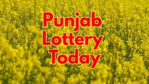 Punjab Lottery Result: पंजाब स्टेट डियर 50 चीफ थर्सडे वीकली लॉटरी जारी, चेक करें आज का लकी नंबर