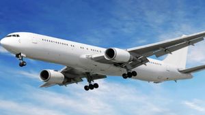 Airfare Hike: अब फ्लाइट टिकट होगा और महंगा! जानिए कितना मंहगा होगा Air India, Indigo और Akasha का टिकट?