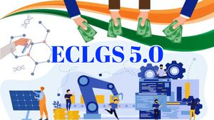 ECLGS 5.0: अब बिजनेस चलाना होगा आसान! नई गारंटी स्कीम को मिली मंजूरी, सरकार ने खोला ₹2.55 लाख करोड़ का खजाना