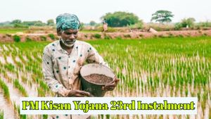 PM Kisan Yojana: प्रधानमंत्री किसान सम्मान निधि 23वीं किस्त की तारीख का इंतजार खत्म? जानें कब आएगी किस्त