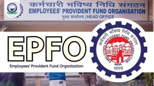 EPFO Passbook Update: Passbook नहीं खुल रही तो घबराएं नहीं, जानिए PF अकाउंट पर क्या असर पड़ेगा? 