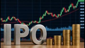 Paluck Technologies IPO Listing: 252 गुना सब्सक्राइब हुआ शेयर, आज बाजार में कैसी होगी धमाकेदार एंट्री?