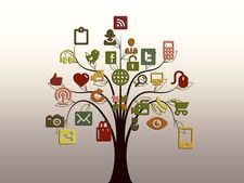  ബിസിനസ്സില്‍ ബ്രാന്റ് നാമത്തിനും ബ്രാന്റ് ലോഗോക്കും  പ്രാധാന്യം?