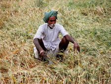 ബജറ്റ് 2018: കാർഷിക വരുമാനത്തിനും നികുതി