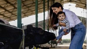 ശുദ്ധമായ പശുവിൻ പാൽ തേടി ബിസിനസിലേയ്ക്ക്, ഈ ക്ഷീര കർഷകയുടെ വരുമാനം ഇന്ന് കോടികൾ  