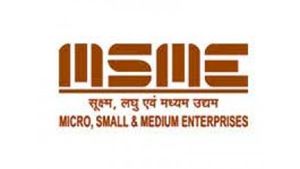 എംഎസ്എംഇ പാക്കേജ്; വായ്‌പ ലഭിച്ചാലും ചെറുകിട ഇടത്തരം വ്യവസായങ്ങൾക്ക് വെല്ലുവിളികൾ ഏറെ