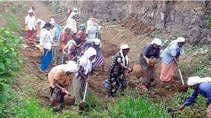 തൊഴിലുറപ്പുകാർക്കും ഇനി ക്ഷേമനിധി; 75 ദിവസം തൊഴിലെടുത്തവർക്ക് ഉത്സവബത്ത