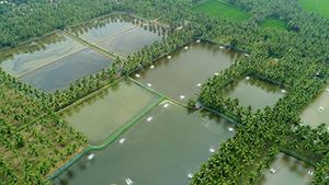 ഇ-സാന്‍റ: അക്വാ ഉല്‍പ്പന വിപണിക്കായി പുതിയ ഓണ്‍ലൈന്‍ പ്ലാറ്റ് ഫോം തുറന്ന് കേന്ദ്ര സര്‍ക്കാര്‍