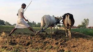 പിഎം കിസാന്‍ യോജന; ഒരു വര്‍ഷം 36,000 രൂപ നേടാം