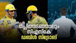 പല്ലു കൊഴിഞ്ഞിട്ടും വിപണിയില്‍ സിഎസ്‌കെയുടെ ഗര്‍ജ്ജനം; 'ഫ്രീഹിറ്റ്' അടിച്ച് ഓഹരി വില, 250 രൂപയിലേക്ക്
