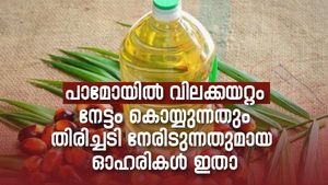 ഇന്തോനേഷ്യന്‍ നിരോധനം; പാമോയില്‍ വില കുതിച്ചുയരുന്നു; നേട്ടവും കോട്ടവും ഏതൊക്കെ ഓഹരികള്‍ക്കെന്ന് അറിയാം