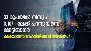 33 രൂപയില്‍ നിന്നും 3,107-ലേക്ക് കുതിച്ചുയര്‍ന്ന മള്‍ട്ടിബാഗര്‍; ക്ഷമയാണോ ഓഹരിയിലെ വിജയസൂത്രം?