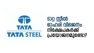 ടാറ്റ സ്റ്റീല്‍ ഓഹരി വിഭജനത്തിനുള്ള റെക്കോഡ് തീയതി പ്രഖ്യാപിച്ചു; നിക്ഷേപകന് ലാഭമുണ്ടോ?