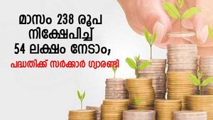 ചില്ലറകൾ ലക്ഷങ്ങളാകും; മാസം 238 രൂപ നിക്ഷേപിച്ച് 54 ലക്ഷം നേടാം; പദ്ധതിക്ക് സർക്കാർ ​ഗ്യാരണ്ടി 