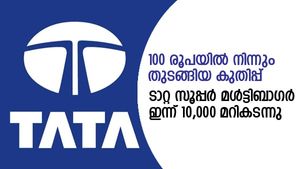 100 രൂപയില്‍ നിന്നുള്ള ഈ ടാറ്റ മള്‍ട്ടിബാഗറിന്റെ കുതിപ്പ് 10,000 കടന്നു; അന്നത്തെ 1 ലക്ഷം 1 കോടിയായി!