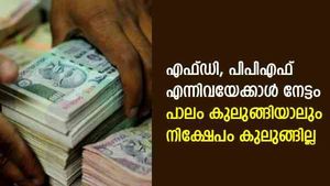 എഫ്ഡിയേക്കാൾ വരുമാനവും സുരക്ഷയും; നികുതിയില്ലാതെ പണം കയ്യിലെത്തും; അറിയാം ഗ്യാരണ്ടീഡ് റിട്ടേണ്‍ പ്ലാന്‍