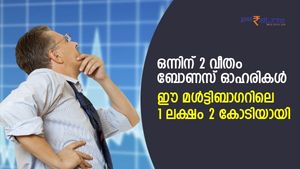 ഒന്നിന് 2 വീതം ബോണസ് ഓഹരികള്‍ നല്‍കി; 5 വര്‍ഷം കൊണ്ട് 1 ലക്ഷം 2 കോടിയായി; ഞെട്ടിയോ?