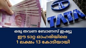 ക്ഷമയില്‍ കാര്യമുണ്ട്! ഒറ്റ ബോണസ് ഓഹരി; ഈ ടാറ്റ മള്‍ട്ടിബാഗറിലെ 1 ലക്ഷം 13 കോടിയായി
