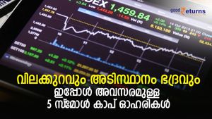 65% വരെ ഇടിവ്; പക്ഷേ അടിസ്ഥാനം ഭദ്രം; വീഴ്ച അവസരമാക്കാവുന്ന 5 സ്‌മോള്‍ കാപ് ഓഹരികള്‍